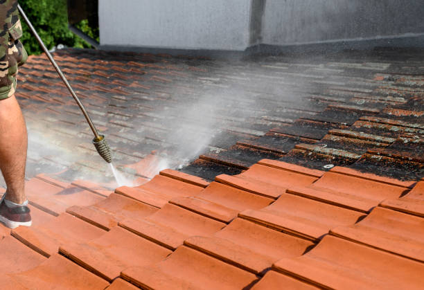 Best Pressure Washing Near Me  in , KY