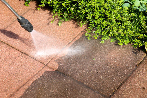 Best Deck Cleaning Services  in , KY
